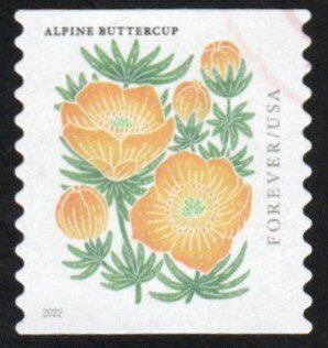 SC# 5673 - (58c) - Mountain Flora - Alpine Buttercup, Used COIL Single Off Paper