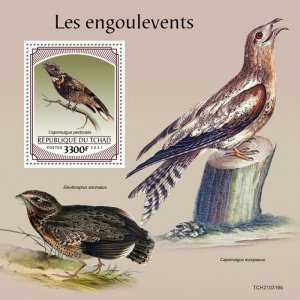 CHAD - 2021 - Nightjars - Perf Souv Sheet - Mint Never Hinged