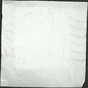 # 4785 USED FLAG IN WINTER