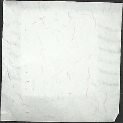 # 4785 USED FLAG IN WINTER