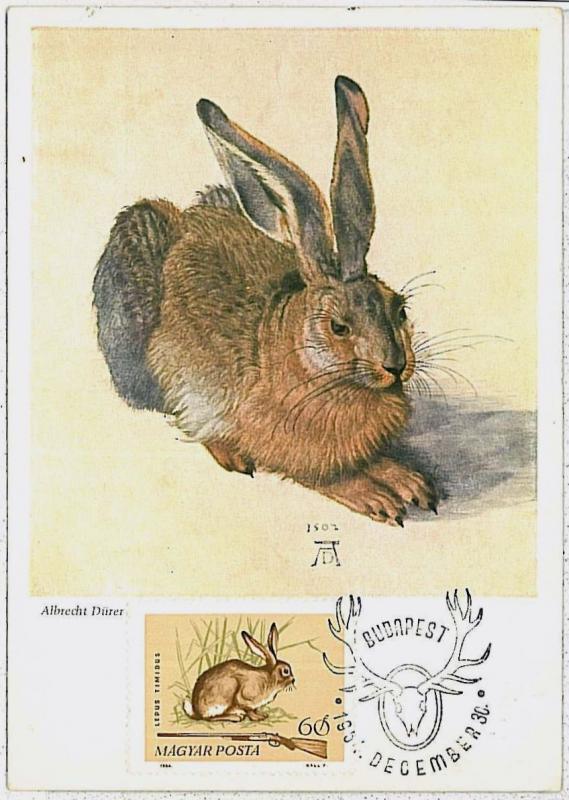 MAXIMUM CARD - POSTAL HISTORY - Hungary: Hares, Jackrabbits, Rabit, Hunting 1964