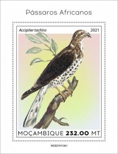 Mozambique - 2021 African Birds, Goshawk - Stamp Souvenir Sheet - MOZ210112b1