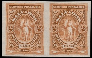 ✔️ EL SALVADOR 1890 - VICTORY IMPERFORATED PAIR  - Sc. 39 Mi. 28 MNGAI [003]