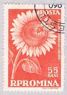Romania 1270 Used Sun Flower 1959 (BP28521)