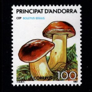 Andorra  (Spanish) Scott 181 MNH** 1987 Boletus edulis, Local Mushroom stamp