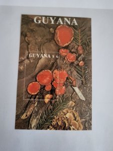 Stamps Guyana Scott #2011 never hinged