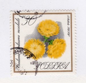 Poland       1432         used