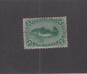 NEWFOUNDLAND # 24-VF-MNG 2cts GREEN CODFISH CAT VALUE $150