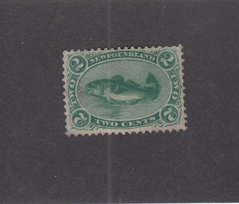 NEWFOUNDLAND # 24-VF-MNG 2cts GREEN CODFISH CAT VALUE $150