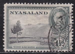 Nyasaland Protectorate 70 Tea Plantation 1945