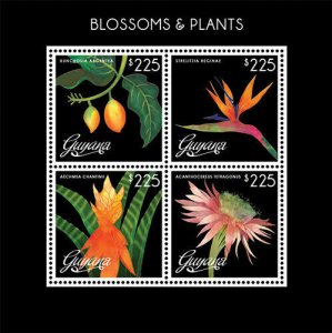 Guyana - 2013 - Blossoms And Plants - Sheet Of 4 - MNH