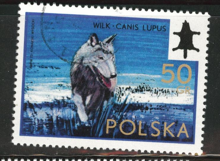 Poland Scott 1973 Used CTO 1973 Flavor caneled Wolf stamp