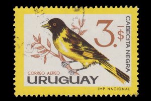 URUGUAY STAMP 1963 SCOTT # C260. USED.