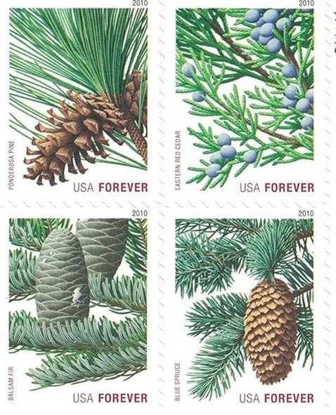 Holiday Evergreen FOREVER Stamps,5 sheets of 100 pcs