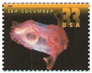 US 3440 Deep Sea Creatures Sea Cucumber 33c single (1 stamp) MNH 2000 