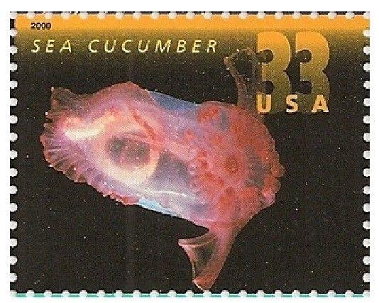 US 3440 Deep Sea Creatures Sea Cucumber 33c single (1 stamp) MNH 2000 