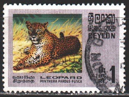 Sri Lanka. 1970. 398 from the series. Indian leopard fauna. USED.