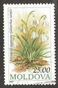 Moldova, Scott # 100  used.  Flowers.  1993.  (M29)