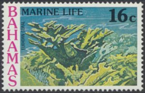 Bahamas  SC# 408 MNH Marine Life  see details & scans