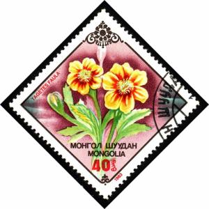 Mongolia 1317 - used - Flower