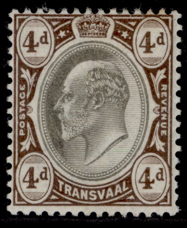 SOUTH AFRICA - Transvaal EDVII SG249, 4d black & brown, M MINT. Cat £20.