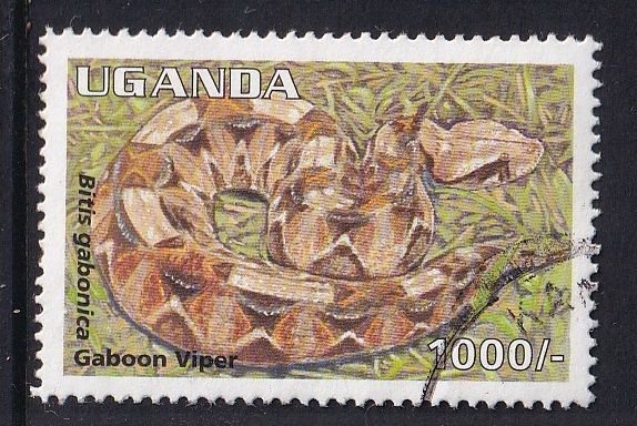Uganda  #1338  used  1995  reptiles  1000sh  Gaboon viper