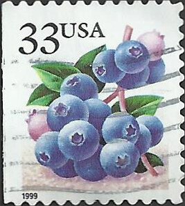 # 3294 USED BLUEBERRIES