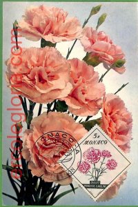 3244 - Monaco - MAXIMUM CARD - 1959 - Flowers-