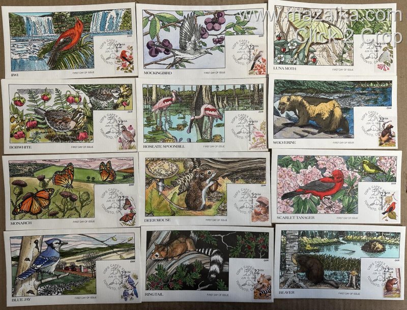 COLLINS COMPLETE SET OF 50 DIFF. STUNNING HANDPAINTED WILDLIFE & BIRDS CACHETS