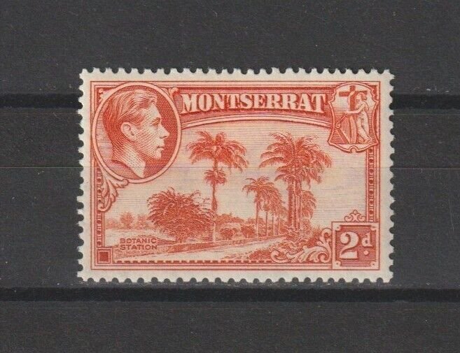 MONTSERRAT 1938/48 SG 104 MINT Cat £25