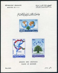 Lebanon C295a,MNH.Mi Bl.25. Union of Lebanese Emigrants,1960.Flags,Bird,Globe.