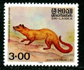 Sri Lanka 928 MNH mint Golden Palm Cat animal      (Inv 001567.)