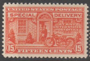 U.S. Scott #E13 Special Delivery Stamp - Mint Single - IND