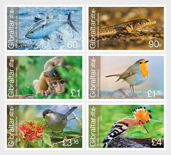 Gibraltar - Postfris/MNH - Complete set Wildlife 2023