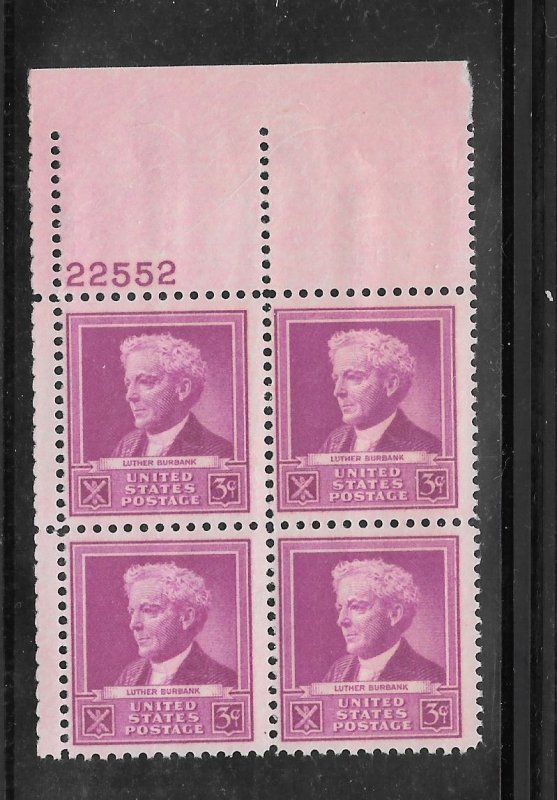 #876 MNH Plate Block