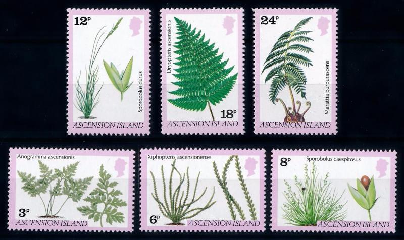 [66260] Ascension 1980 Flora Plants Ferns Grass  MNH