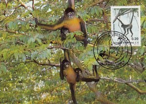 Honduras 1990 Maxicard Sc #C791 20c Geoffroy's spider monkey WWF