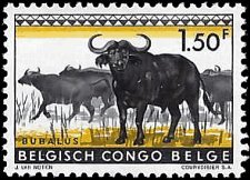 BELGIAN CONGO   #311 MNH (1)