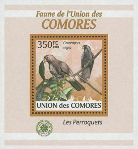 Parrot Bird Stamp Coracopsis Nigra Mini Sov. Sheet MNH