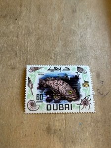 Dubai #102