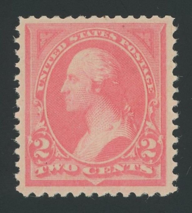 USA 248 - 2 cent Pink Type I Unwmk - XF Mint never hinged