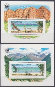 1995 Kyrgyzstan 105/B14-106/B15 Birds