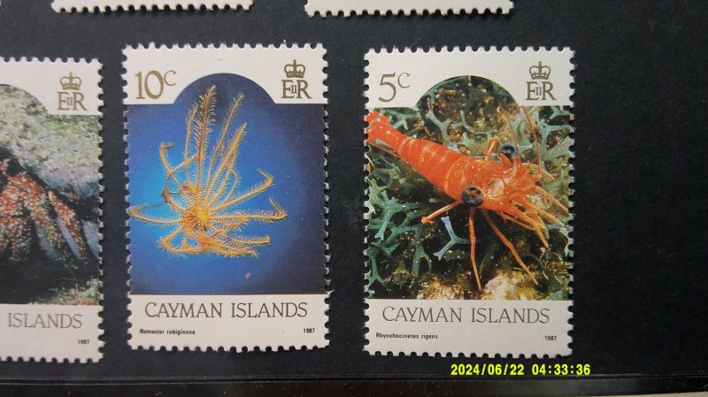 Cayman Islands 1987 SeaLife Re-Issue Scott# 562a-573a complete MNH XF