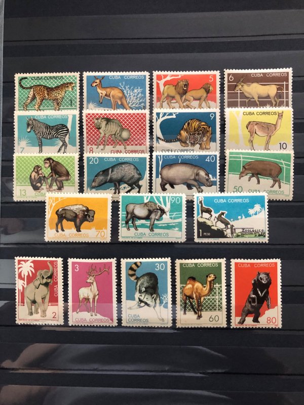 Cuba.1964. Havana Zoo