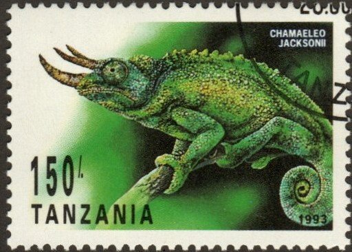 Tanzania 1132 - Cto - 150sh Jackson's Chameleon (1993) (cv $1.10) +