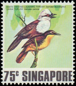 Singapore #295-298, Complete Set(4), 1977, Birds, Never Hinged