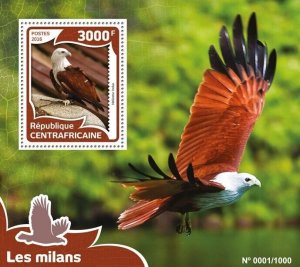 [250 10]- YEAR 2016 - CENTRAL AFRICAN  - BIRDS OF PREY  1V   complet set  MNH/**