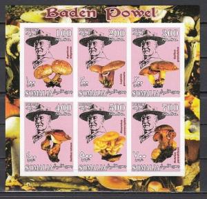 Somalia, 2001 Cinderella issue. Mushrooms & Scout Founder, IMPERF sheet of 6.