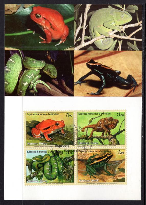 UN Geneva 456a Reptiles Amphibians Maxi Card UN Postal Admin U/A FDC 