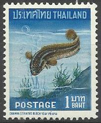 Thailand - 1967 Chevron Snakehead 1b MNh
